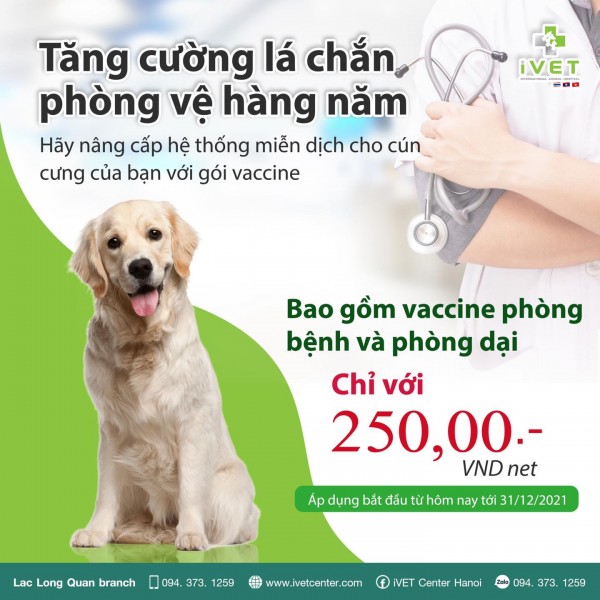 Gói vaccine hàng năm dành cho Chó Mèo 